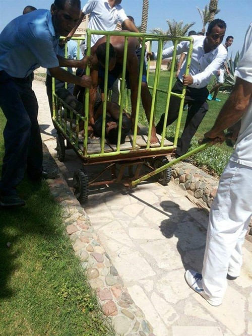 مصر.. هذه هوية مهاجم السياح في الغردقة.. والقتيلتان تحملان الجنسية الألمانية