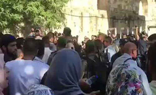فيديو مؤلم.. مجموعة من جنود الاحتلال وهم يهاجمون المرابطات عند أبواب المسجد الأقصى