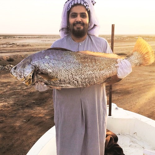 فهد المليحان: السبيطي والمزيزي على السيف والهامور والبالول بالأقواع