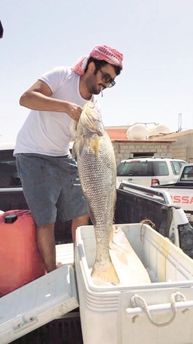 فهد المليحان: السبيطي والمزيزي على السيف والهامور والبالول بالأقواع
