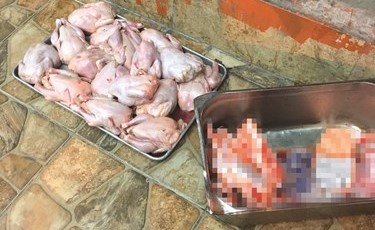 كميات من الدجاج غير الصالح للاستهلاك﻿