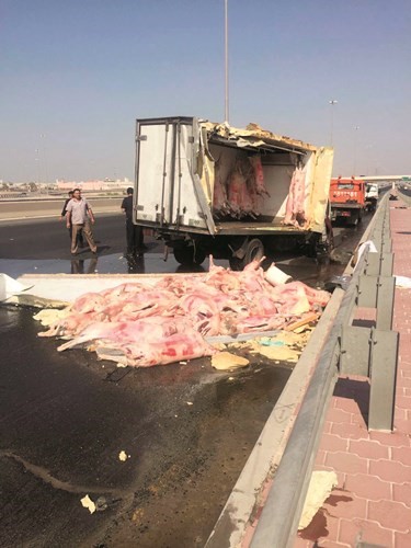ذبائح مبعثرة على الدائري السادس