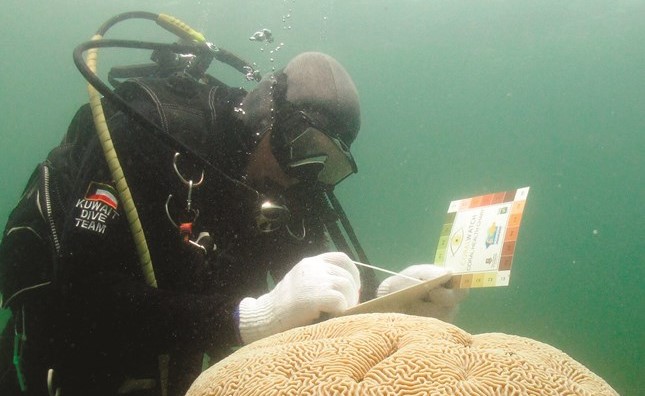 عضو لفريق الغوص الكويتي بالمبرة التطوعية يعاين الشعاب المرجانية﻿