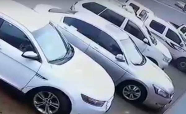 بالفيديو.. شاهد شاب يسرق خروفاً من صندوق سيارة متوقفة على شارع عام