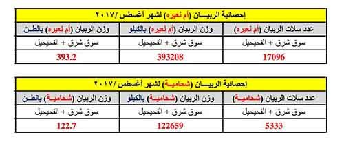 اتحاد الصيادين: لازلنا نطالب بإلغاء شرط جواز السفر في المرور إلى المياه الدولية