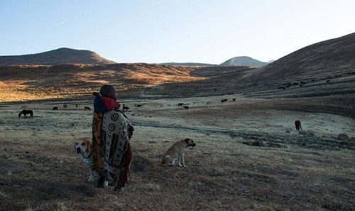 استقال من عمله ليجوب العالم.. نصائح شابٍّ زار 60 دولةً في 3 أعوام لمحبِّي السفر