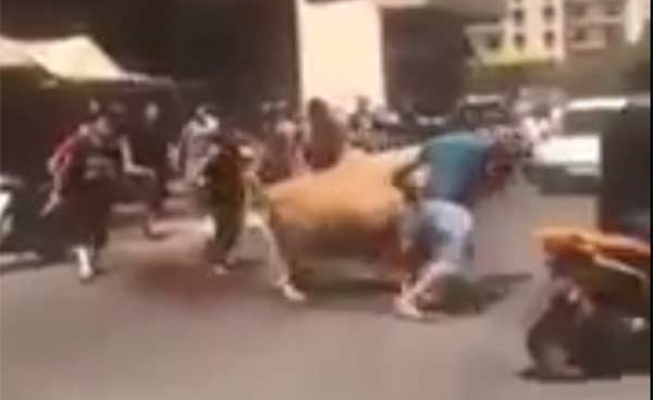 بالفيديو.. وحشية في ذبح أضحية في لبنان أثارت استياء القلوب الرحيمة