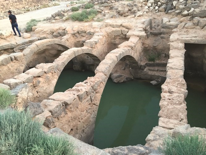 عمّان ..المدينة الغامضة منسف ودبكة وعنب - بقلم :عواطف العلوي