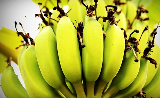 أم تصاب بصدمة بسبب ما اكتشفته داخل موزة أرادت إطعامها لطفلها