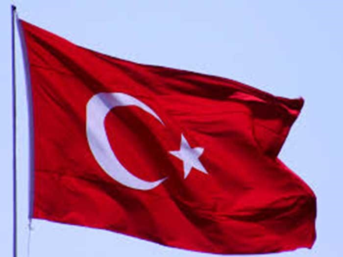 السلطات التركية تضبط 313 مهاجرا غير شرعي حاولوا التسلل لأوروبا