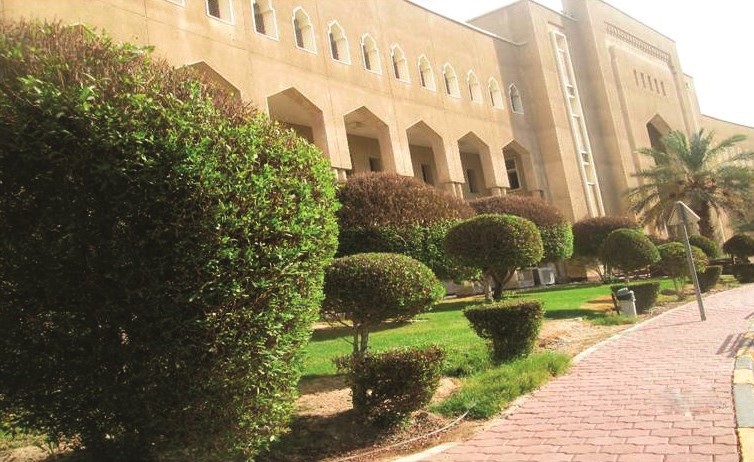 قص وتشكيل وتهذيب الأشجار بموقع الشويخ﻿