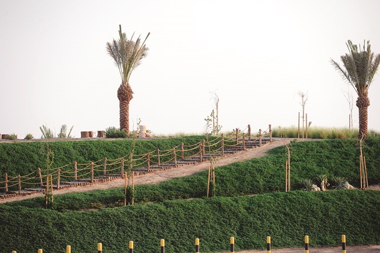 الاستراحة الخضراء الجديدة في قرية صباح الأحمد التراثية ﻿