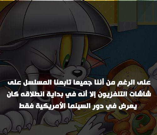 بمناسبة مرور 12 عامًا على عرض آخر حلقاته .. معلومات لا تعرفها عن "توم وجيري"