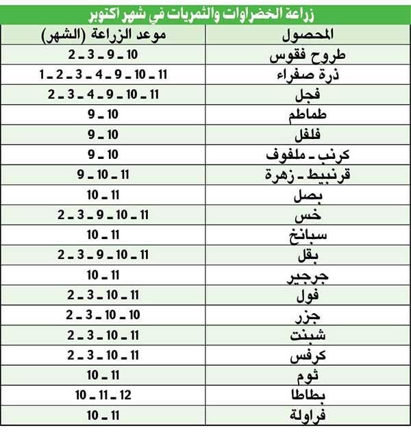 الدغيمان: أعطونا الكهرباء والماء والديزل بالمجان.. وخذوا الدعم النقدي كله