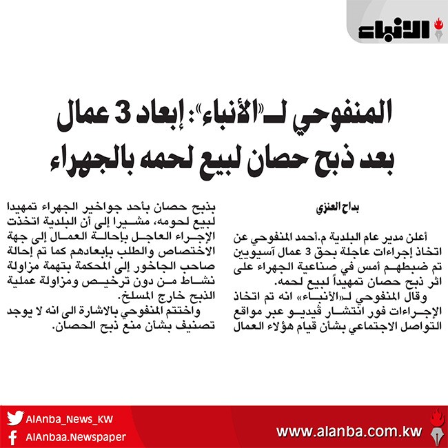 المنفوحي لـ«الأنباء»: إبعاد 3 عمال بعد ذبح حصان لبيع لحمه بالجهراء