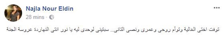 الفنانة نجلا تنعي توأمها نورلين بكلمات مؤثرة بعد وفاتها بحادث داليا التوني
