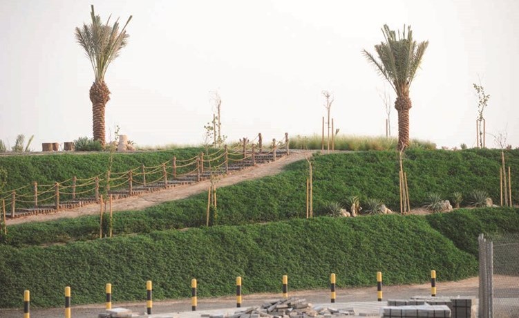 زيادة مساحة المسطحات الخضراء في القرية﻿