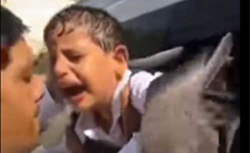 فيديو صادم.. نسيان طفل سعودي بباص مدرسي لـ 4 ساعات