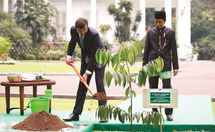 أمير قطر الشيخ تميم بن حمد آل ثاني يزرع شجرة في القصر الرئاسي في جاكرتا بحضور الرئيس جوكو ويدودو- (أ.پ)﻿