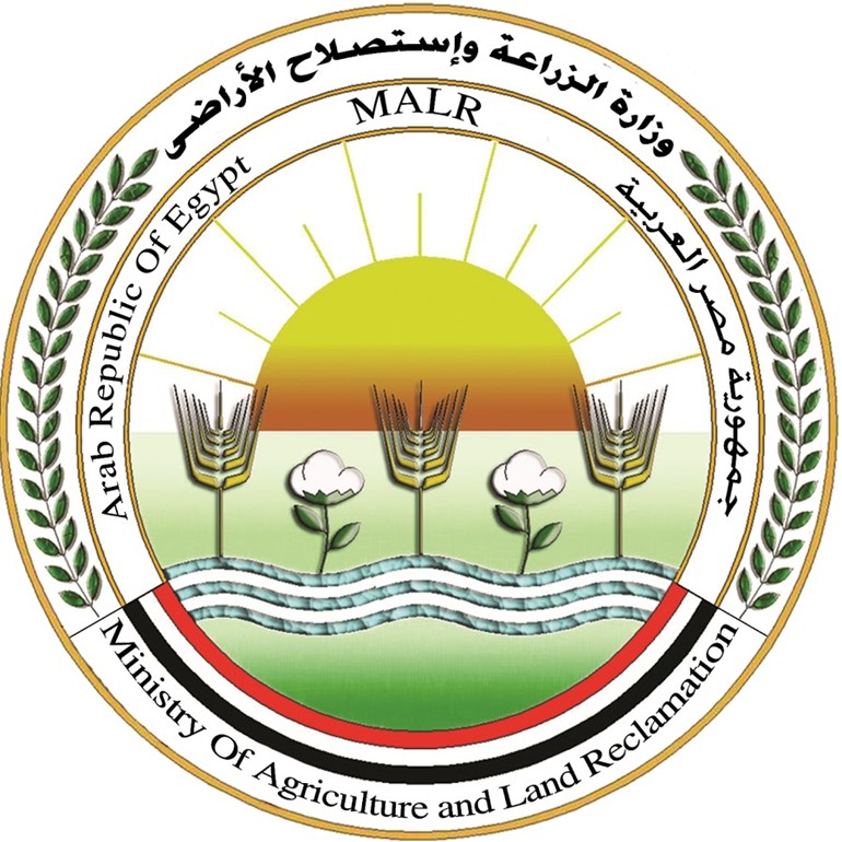 الكويت والإمارات والبحرين رفعت الحظر عن استيراد المحاصيل الزراعية المصرية