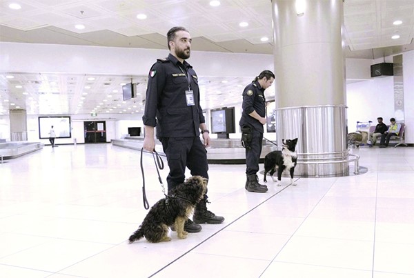البركة: 70 كلباً مدرباً على اكتشاف المخدرات والأموال المهربة والمتفجرات وتتجول بين المسافرين