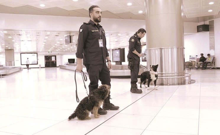 ﻿الكلاب البوليسية المسموح لها بالتجول بين المسافرين من النوع الأليف غير المؤذية﻿