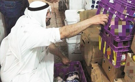 فحص ظاهري للمواد الغذائية﻿