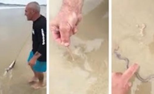 بالفيديو.. مشهد مذهل لصياد يسحب «ديدان» ضخمة من الرمال