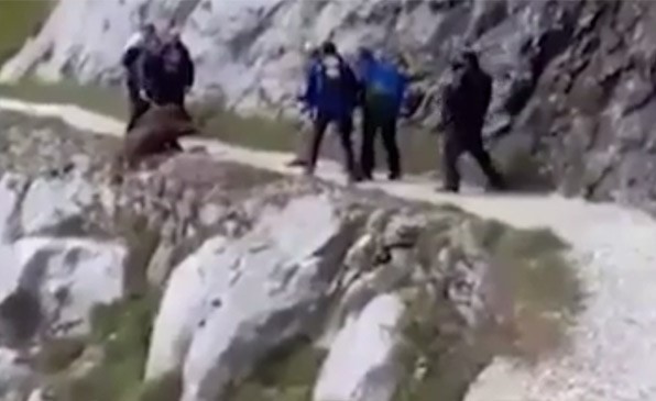 بالفيديو.. الشرطة الإسبانية تلاحق متسلقين بعد فيديو صادم