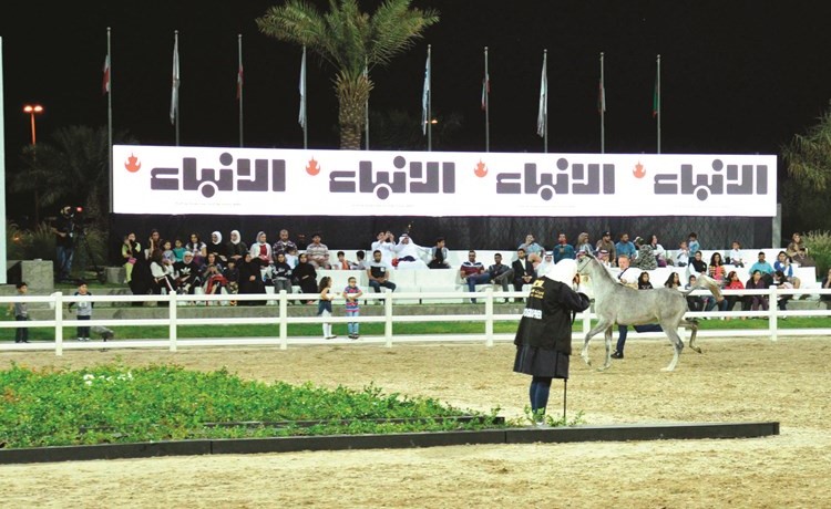 حضور جماهيري مميز ﻿