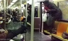 بالفيديو.. فأر يتسبب في فوضى عارمة داخل مترو نيويورك