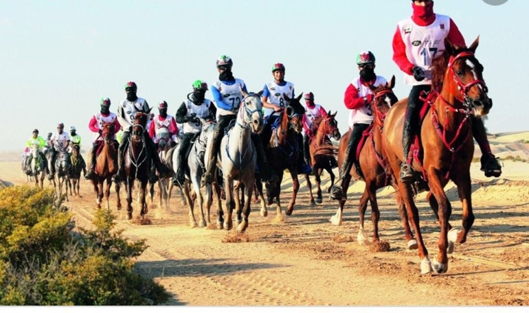 ملاك وفرسان الخيل يطالبون نادي الفروسية بتحديد موعد سباق "القدرة والتحمل"