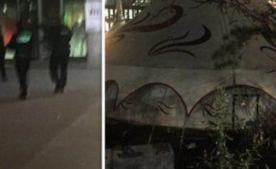 بالفيديو.. نمر يثير الذعر في شوارع باريس.. هرب من السيرك ولاحق أشخاصاً بأرجاء المدينة فقتلوه في النهاية