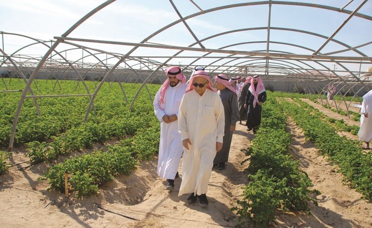 عدد من أعضاء الوفد السعودي مع براك الصبيح خلال الجولة في مزرعته ﻿