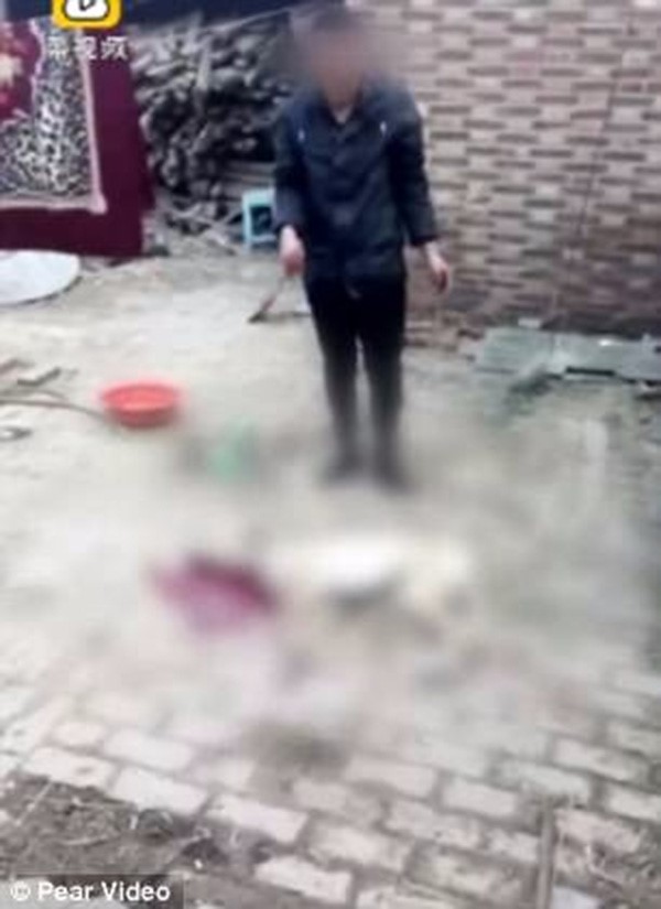 رجل يعذب كلبه بوحشيه حتى الموت ويتوعد بأكل جسده