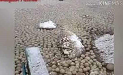 بالفيديو.. ظهور آلاف الكرات الثلجية على ساحل روسي تحير العالم
