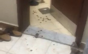 الدماء على الأرض بعد اقتحام المنزل ﻿