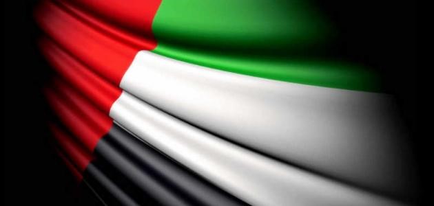 الإمارات: لن نرفع الرواتب لمواجهة آثار ضريبة "القيمة المضافة"