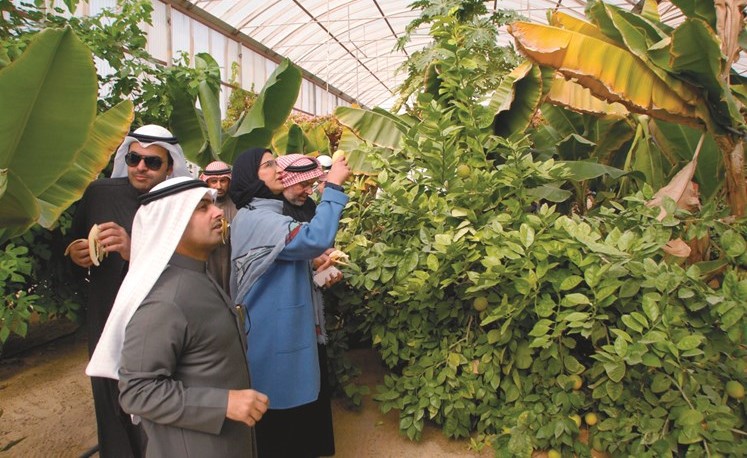 مسؤولو هيئة الزراعة في مزرعة عبدالله بركات﻿