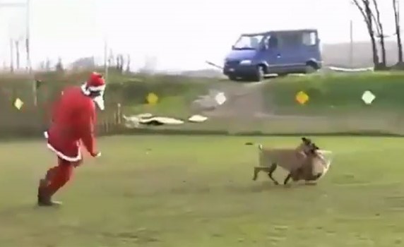 بالفيديو ..سانتا كلوز يطارد كلبا سرق هداياه