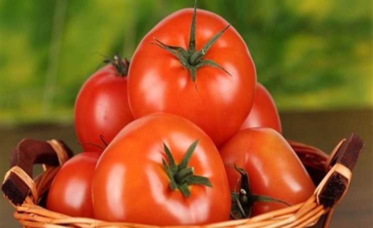 الطماطم قد تساعد في علاج الأضرار الناجمة عن التدخين