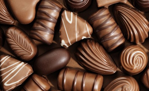 هل ستختفي الشوكولاتة من العالم بالفعل؟