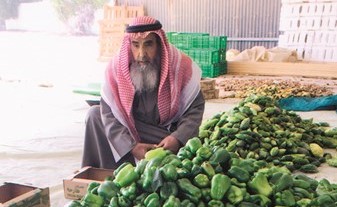 فلفل بارد للتسويق الداخلي بالكويت ﻿