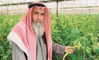 المزارع سالم الحيمر يتميز في إنتاج الثمريات بالوفرة ﻿