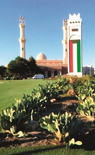 الصبار يزين دوارات كويتية﻿