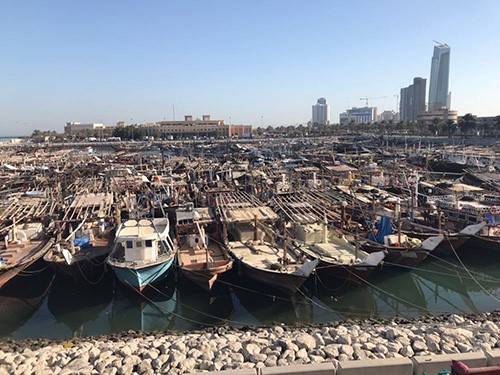 اتحاد صيادي الاسماك: القطع البحرية غير المرخصة لم تخرج من نقعة الشملان