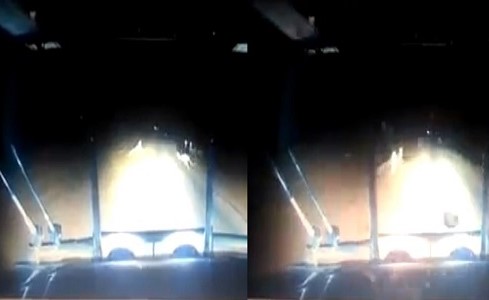 بالفيديو.. رد فعل صادم لسائق صدم ثلاث حيوانات كنغر