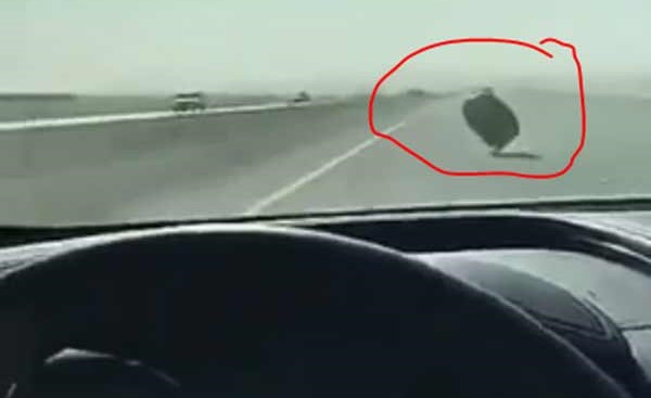 بالفيديو.. قائد مركبة في السعودية ينجو من حادث محقق بعدما فوجئ بإطار أمامه على طريق سريع