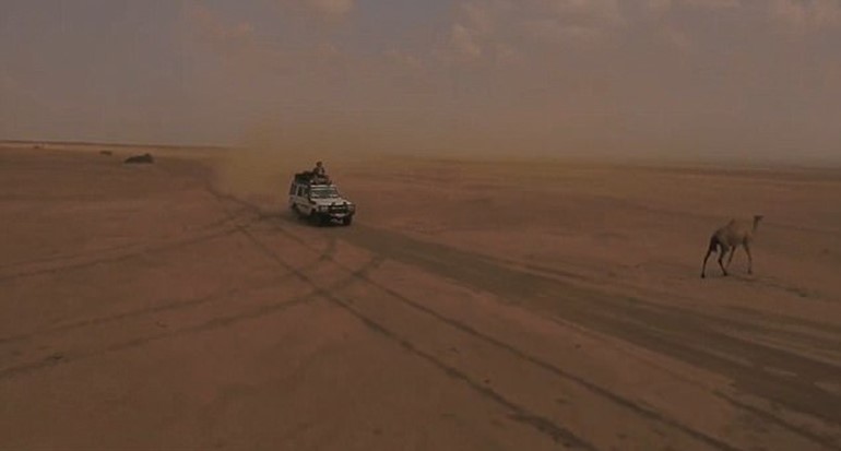 بالفيديو.. محاولة شاب تصوير صحراء إثيوبيا تنتهي بشكل غير متوقع