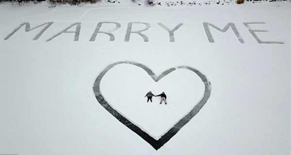 عرض زواج فريد بعبارة ضخمة على الثلج